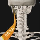 연춘당한의원 이미지