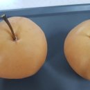 하얀배 민박 이미지