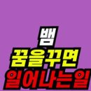 뱀 꿈해몽 모음 뱀에 목을 물리는 꿈물뱀이 몸을 감는 꿈 화려한뱀꿈 뱀 관련 꿈해몽 정리 이미지