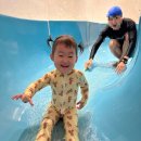 롯데호텔 실내수영장 이미지