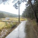 포항시북구22 이미지