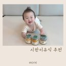 이유식 3끼 스케줄 시판 푸드케어 클레 유리병 후기이유식 추천