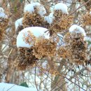 함평자연생태공원 이미지