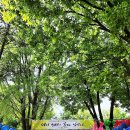 6월 호국보훈의달 가볼만한곳 국립서울현충원 호국지장사
