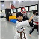 품태권도장 이미지