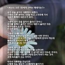 세상의 모든 1등에게 전하는 메세지는 뭘까요? 이미지