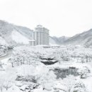 엘리시안강촌스키장 네이버블로그