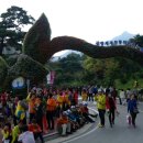 산청한방엑스포와 북천코스모스축제 스케치~ 이미지