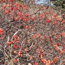 순천별량중학교 이미지