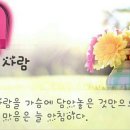 웃는하루