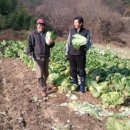 공룡나라 친환경 보리수농장 이미지