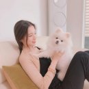 오!오