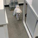 대정 골프 아카데미 | 경기도 광주 프리미엄 실내 골프연습장, gdr 대정골프아카데미 솔직 후기