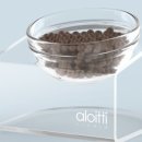 펫테이블 이미지