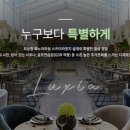 더 리체 이미지