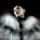 이리스(IRIS) 이미지