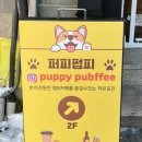 퍼피펍피 네이버블로그