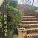 무양공원 유아숲체험원 이미지