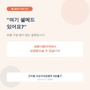 셀메드오늘약국