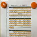 피리피리 이미지