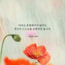 코끼리헤어살롱