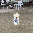 해피아지 이미지