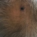 회춘한의원 이미지