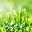 오수관촌농협관촌지점 이미지