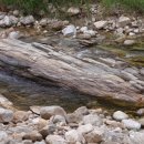 무릉도원면-38 이미지