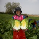 화원 청용리 이미지