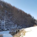 자운1리 마을회관 이미지