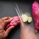 호기농장 이미지