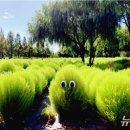 낙동강관리본부 화명생태공원 3 이미지