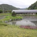 새밤농장 이미지