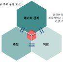 라이프풀리