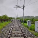 반구정습지 이미지