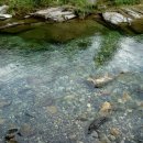 하늘땅 별땅 이미지