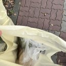 제주보리촌 이미지