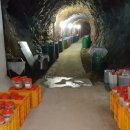 안치홍농장 이미지