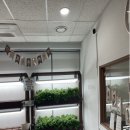 성북구치매안심센터 분소 | 특별한 바리스타 ‘기억 품은 팜 카페’ 서울시 약자동행지수 우수사례