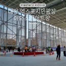 엑스포시민광장 | 대전 겨울방학에 놀기 좋은 엑스포시민광장 야외스케이트장 후기