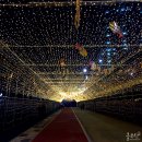 온천천일대5 이미지