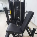 코아루이지움 이미지