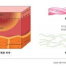 텐하이 이미지