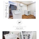 독독펜션 이미지