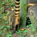 만남의폭포 매점 앞 이미지