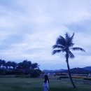 하이리조텔 | 코사무이 신혼여행 못다한 이야기. 차웽/차웽시내/씨푸드디너/코사무이차웽코브리조텔/그리고.