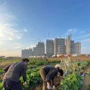 홍일농장 이미지