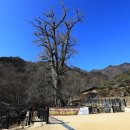 수양-0017 티스토리