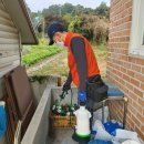 상가홍천 | 홍천 방역업체 벌레 걱정 사라진 주택 현장 후기!